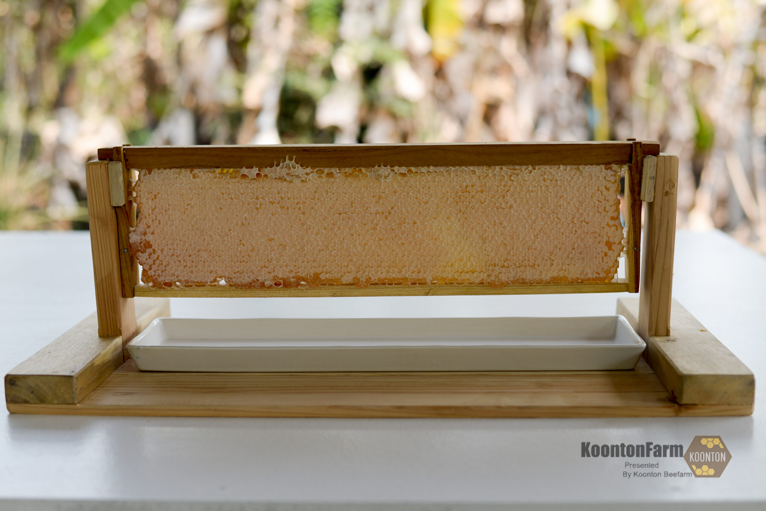 honeycomb in frame