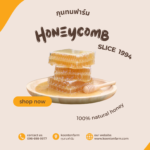 โปรโมชั่น NORTHREN HONEY EXPO 3-7 กรกฎาคม 2567