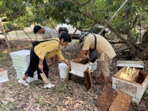 ความแตกต่างระหว่าง น้ำผึ้งดิบ (Raw Honey) และ น้ำผึ้งที่ผ่านกระบวนการไล่ความชื้นด้วยความร้อน