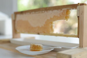 เก็บรวงผึ้งกุนทนฟาร์มแบบครบทุกขั้นตอน พร้อมวิดีโอประกอบ